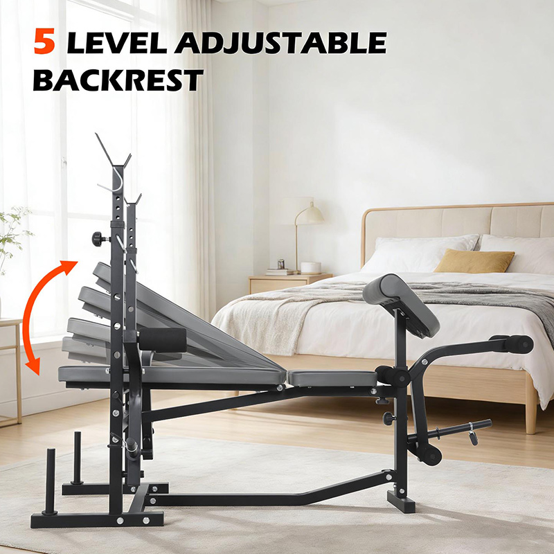 BodyTrain Advanced Weight Bench